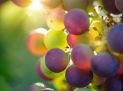 Прогноз погоды на 4 сентября в Украине: лето не сдает позиции, жара до +31°