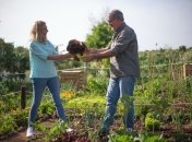 Огород в августе - что нужно успеть сделать