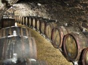 Лучшее сухое вино Чехии получилось из... картошки 