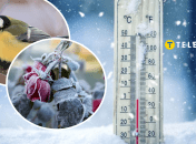 Коли в Україні вдарять сильні морози
