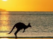 Сегодня День Австралии - главный праздник австралийцев