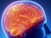 Ученые разработали клетки-убийцы опухолей мозга 