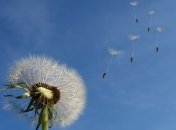 Приметы и обряды на 18 апреля – День Федора Ветреница, Федулов день