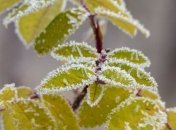 Какой завтра праздник: приметы и обряды на 16 января