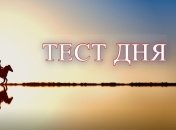 Вы пофигист или перфекционист: пройдите тест и узнайте