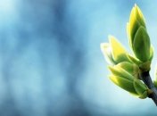 В Україну впевнено рухається весна