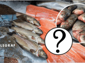 Какую рыбу нельзя покупать