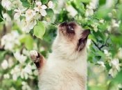 Синоптики рассказали, каких сюрпризов ждать от погоды в последние выходные весны