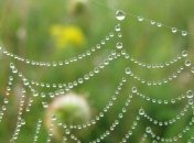 19 июля - праздник, что категорически запрещено делать, главные приметы