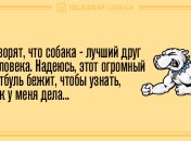 Закончи день ярко и весело: вечерние анекдоты 11 мая
