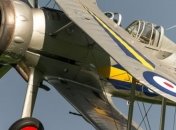 На авиашоу в США упал самолет: пилот погиб