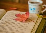 Книги, которые спасут от осенней депрессии