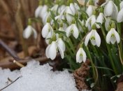 Прогноз погоды в Украине на март