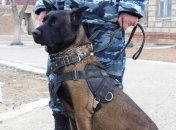 На Донеччині поліція утилізувала 30 кг наркотиків