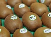 Киви поможет понизить давление