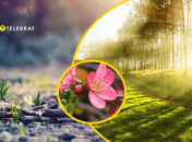 Терпеть холода осталось недолго