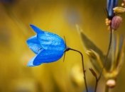 10 августа - праздник, что категорически запрещено делать, главные приметы