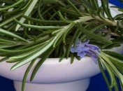 Эта ароматная специя может улучшить память