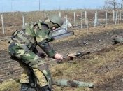 Геращенко назвала первоочередной законопроект в Раде