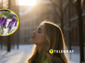 Погода во Львове