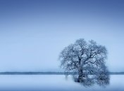 1 февраля. Приметы дня