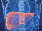 Как восстановить печень после праздников