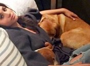 СМИ: Меган Маркл и принц Гарри завели собаку