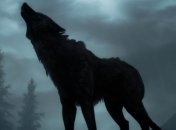 В волчьем вое насчитали несколько десятков "языков"