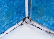 Избавление от плесени — это еще и забота о вашем здоровье