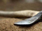 Мать, убившую дочь топором, признали невменяемой