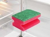 Копеечное средство для сохранности продуктов в холодильнике