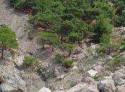 Туристам запретили посещать крымские леса  