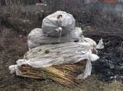 В Житомирской области сожгли наркотиков на полмиллиона гривен