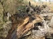 Тут може ховатися небезпека