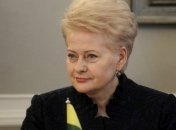 Президент Литвы не смогла прилететь в Ригу
