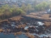 Беспилотник заснял кадры последствий пожара на Совских прудах в Киеве (Видео)