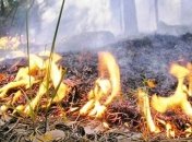  Украинцев предупреждают о высокой пожарной опасности