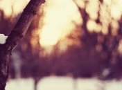 Зима вступает в свои права на большей части Украины.