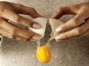 Какого цвета должны быть яичные желтки