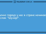 Миру без вашего смеха грустно: вечерние анекдоты 9 августа