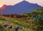 На кавказском курорте введут налог с отдыхающих