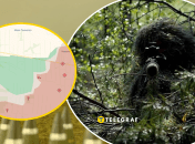 Пока увеличения военной активности не фиксируется