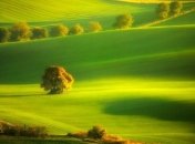 Единение с природой: уникальные места мира (Фото)