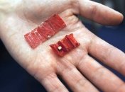 Медицинский микроробот прошел испытания в имитаторе желудка