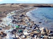 Стало известно, почему птицы в океане питаются пластиком