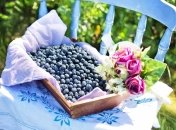 22 июля особое внимание уделялось чернике