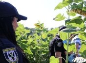 В Черниговской области отец зарезал 8-летнего сына, а тело спрятал в подсолнечном поле