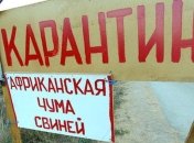 На Харьковщине африканской чумы свиней ввели карантин