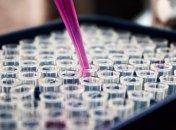 Лечение коронавируса: Какими лекарствами спасают от COVID-19 в Италии