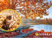 Прогноз погоди